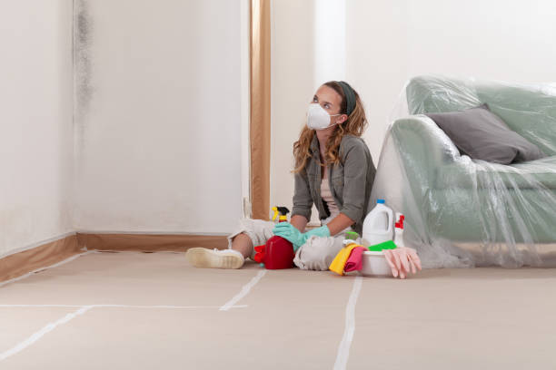 Reliable Mold Remediation contractor in New York, NY by Mold Remediation HQ